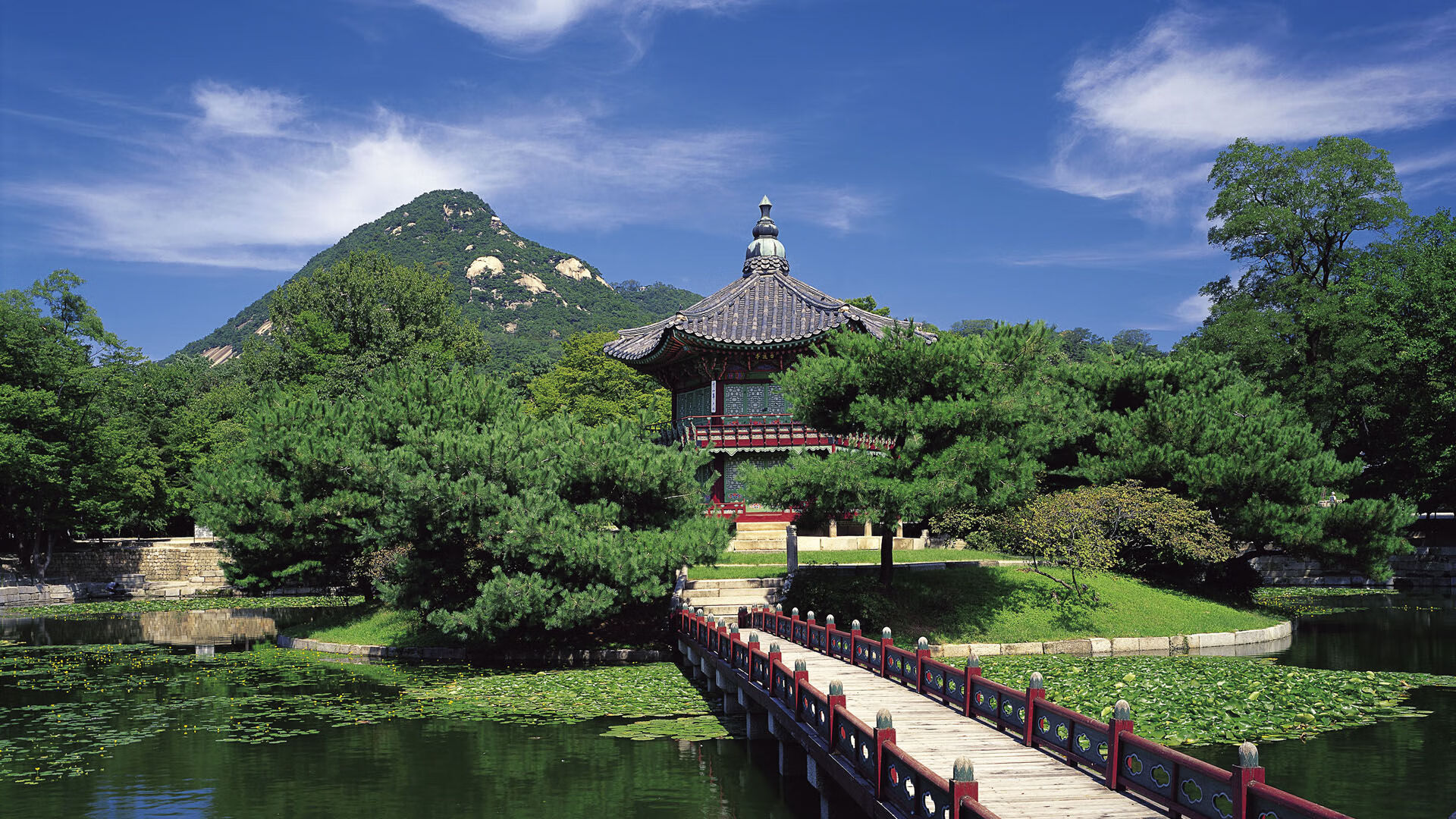 世界举重康复学术讲堂:功能训练与回归评估方法推广,举重训练方法演进